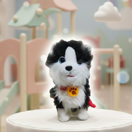 Puppy Black