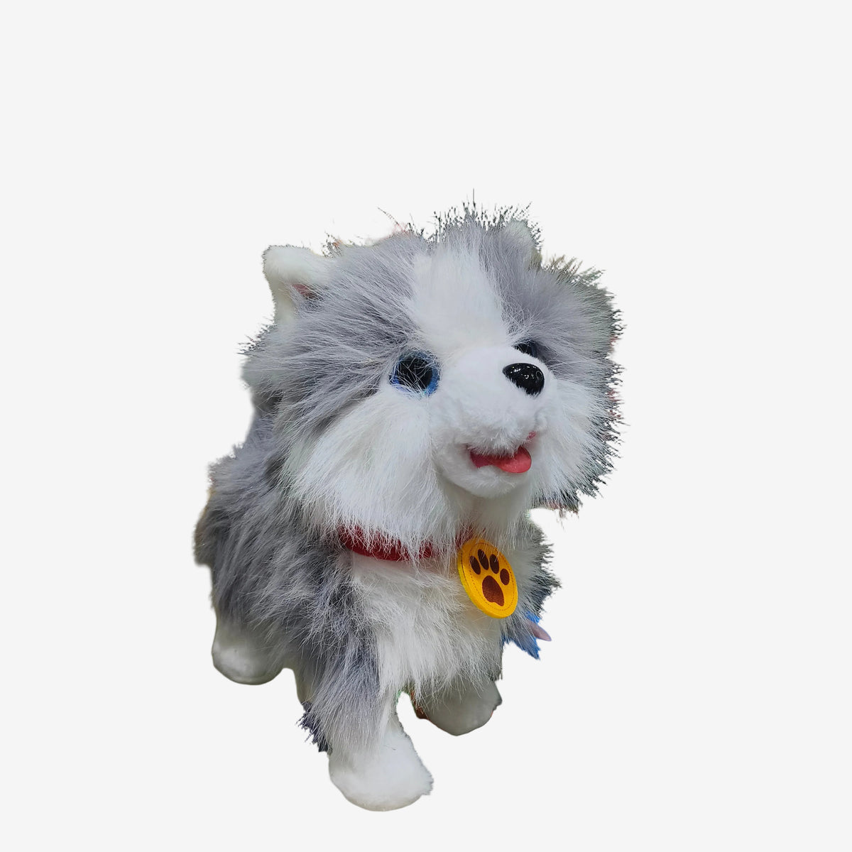 Ash Puppy