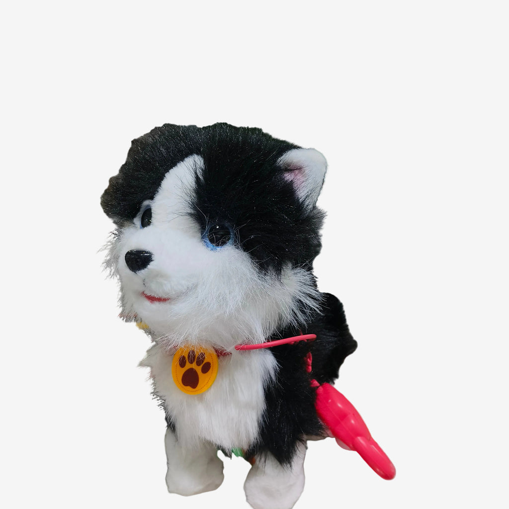 Puppy Black