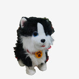 Puppy Black