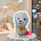Puppy white