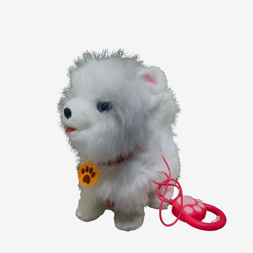 Puppy white
