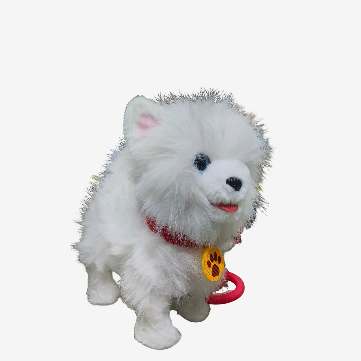 Puppy white