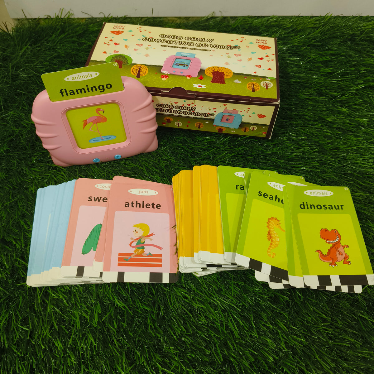 Talking Flash Cards