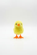 CHICK SKIPPING