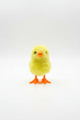 CHICK SKIPPING