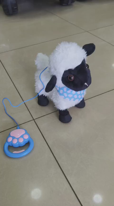 SMART SHEEP BLACK