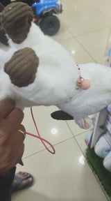Smart Goat white