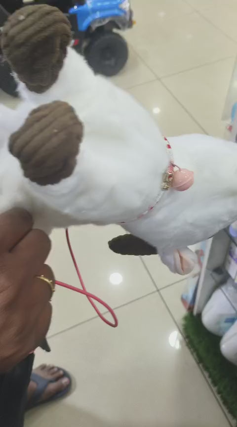 Smart Goat white