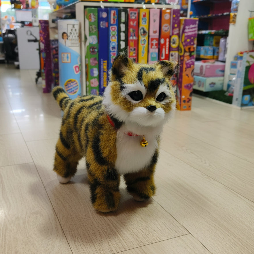 Walking Kitten
