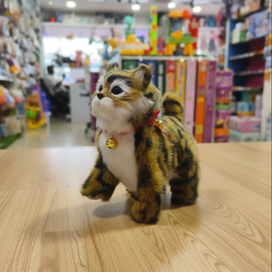 Walking Kitten